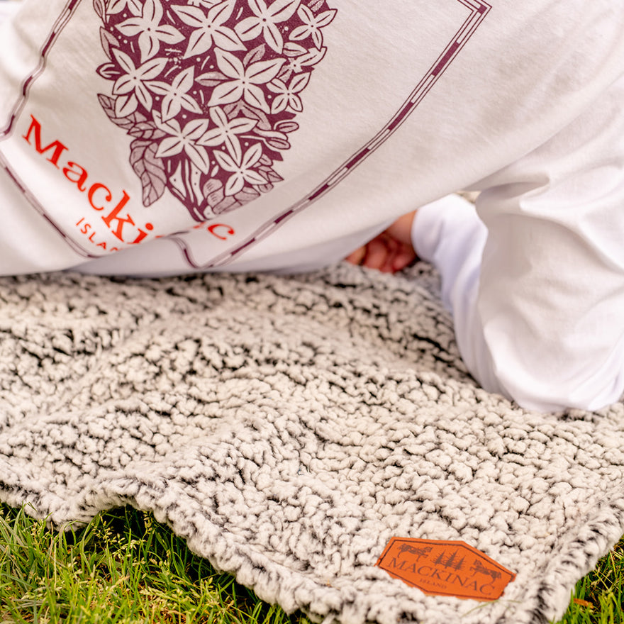 5 Best Picnic Spots of Mackinac Island