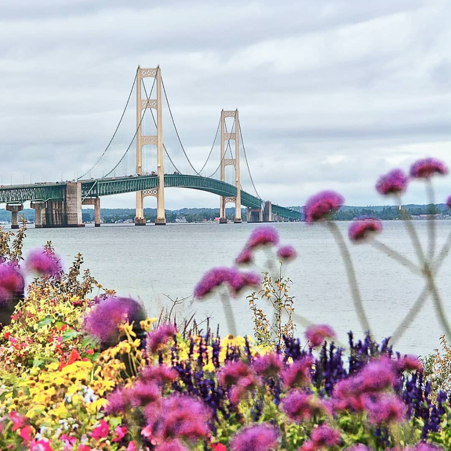 4 Ways to Go Green on Mackinac